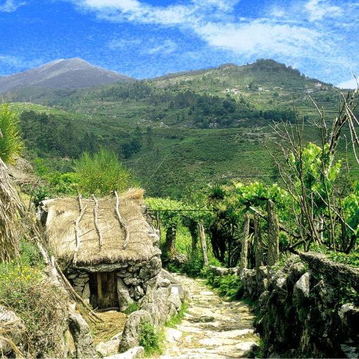 Sunflower Northern Portugal : Car Tours and Walks 9781856915274 Sunflower Landscapes Wandelgidsen Noord en Midden-Portugal, Porto Sunflower Northern Portugal : Car Tours and Walks 9781856915274 Sunflower Landscapes Wandelgidsen Noord en Midden-Portugal, Porto