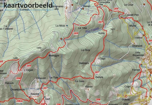 FRA-01 Alta Valle Susa | wandelkaart 1:25.000 9788897465225  Fraternali Editore Fraternali 1:25.000  Wandelkaarten Turijn, Piemonte