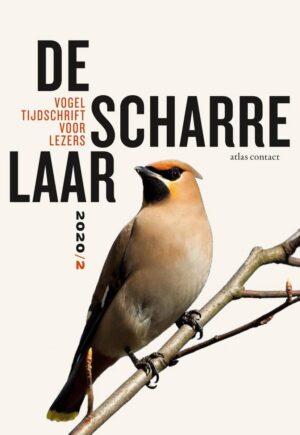 De scharrelaar - 2020/2 9789045042824  Atlas-Contact   Natuurgidsen, Vogelboeken Reisinformatie algemeen