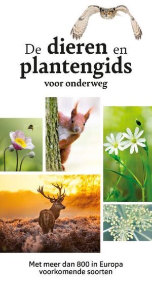 De Dieren- en Planteginds voor onderweg 9789021578453 Wilhelm Eisenreich Kosmos   Natuurgidsen Nederland