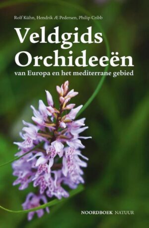 Veldgids Orchideeën 9789056156039  Noordboek   Natuurgidsen, Plantenboeken Europa, Zuid-Europa / Middellandse Zee