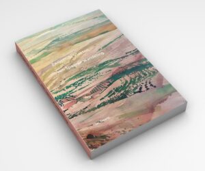 Zwijgende Vlakten | reisverhaal Jac Geurts 9789082116427 Jac Geurts Lage   Wandelreisverhalen Spanje