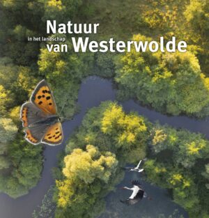 Natuur in het landschap van Westerwolde 9789023257967  Van Gorcum   Natuurgidsen Groningen