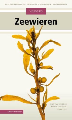 Veldgids Zeewieren 9789050118019 Luna van der Loos KNNV Veldgidsen  Natuurgidsen, Plantenboeken Nederland
