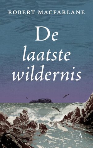 De Laatste Wildernis | Robert MacFarlane 9789025312985 Robert MacFarlane Bezige Bij   Wandelreisverhalen Groot-Brittannië