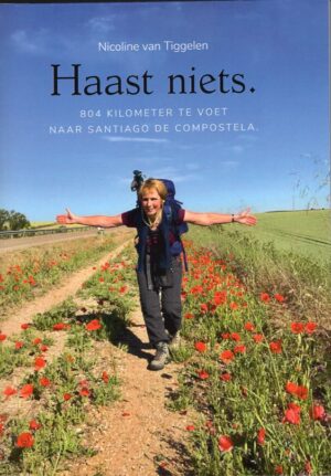 Haast Niets | wandelreisverhaal Nicoline van Tiggelen 9789080864252 Nicoline van Tiggelen Tiggelen Communicatie   Reisverhalen & literatuur, Santiago de Compostela Europa