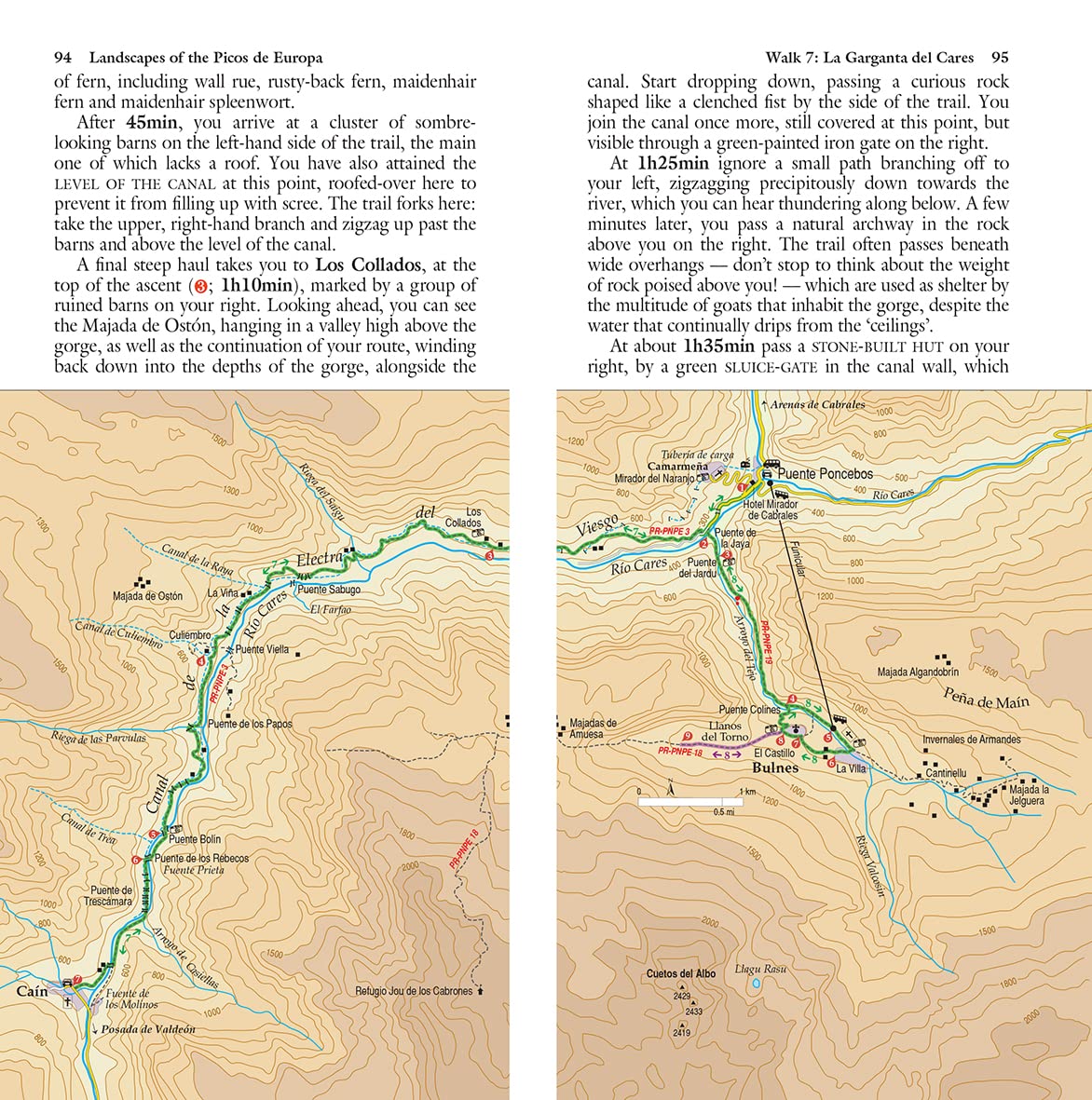Sunflower Picos de Europa/Cantabrica | wandelgids 9781856915359 Sunflower Landscapes Wandelgidsen Picos de Europa Sunflower Picos de Europa/Cantabrica | wandelgids 9781856915359 Sunflower Landscapes Wandelgidsen Picos de Europa