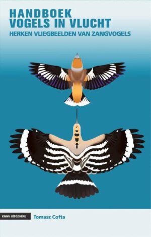 Handboek vogels in vlucht 9789050118248 Cofta, Tomasz KNNV   Natuurgidsen Europa