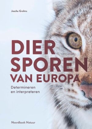 Diersporen van Europa 9789056159207 Grolms, Joscha Noordboek   Natuurgidsen Europa