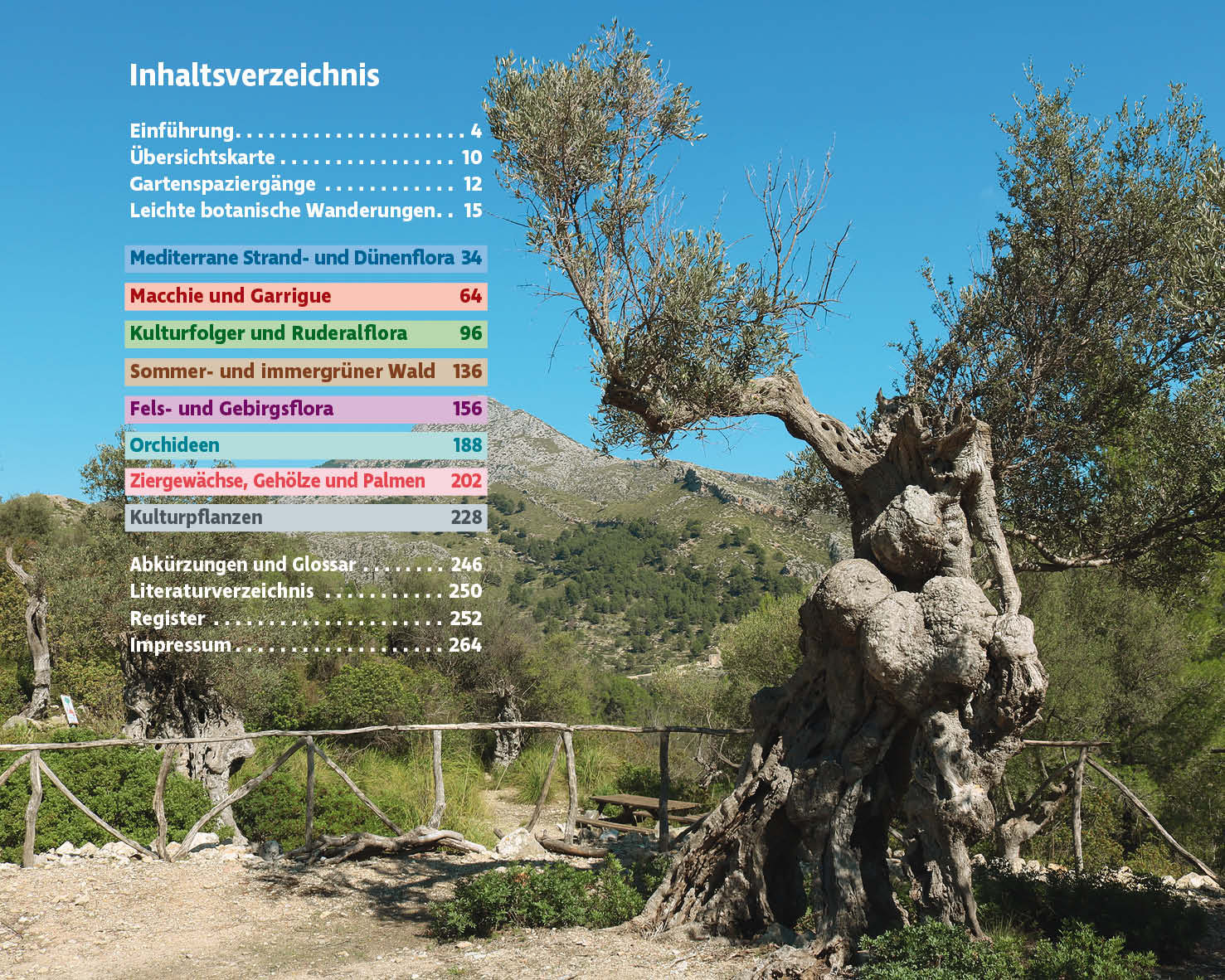 Mallorcas Flora | botanische wandelgids Mallorca 9783763361076 Rolf Goetz Bergverlag Rother Rother Wanderbuch Natuurgidsen, Plantenboeken, Wandelgidsen Mallorca Mallorcas Flora | botanische wandelgids Mallorca 9783763361076 Rolf Goetz Bergverlag Rother Rother Wanderbuch Natuurgidsen, Plantenboeken, Wandelgidsen Mallorca