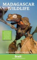 Madagascar WILDLIFE | natuurreisgids 9781804690970 Bradt Bradt Wildlife Guides  Natuurgidsen Madagascar