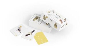 Roofvogels en Uilen memospel 9789043929615 Elwin van der Kolk Kosmos   Natuurgidsen, Vogelboeken Benelux