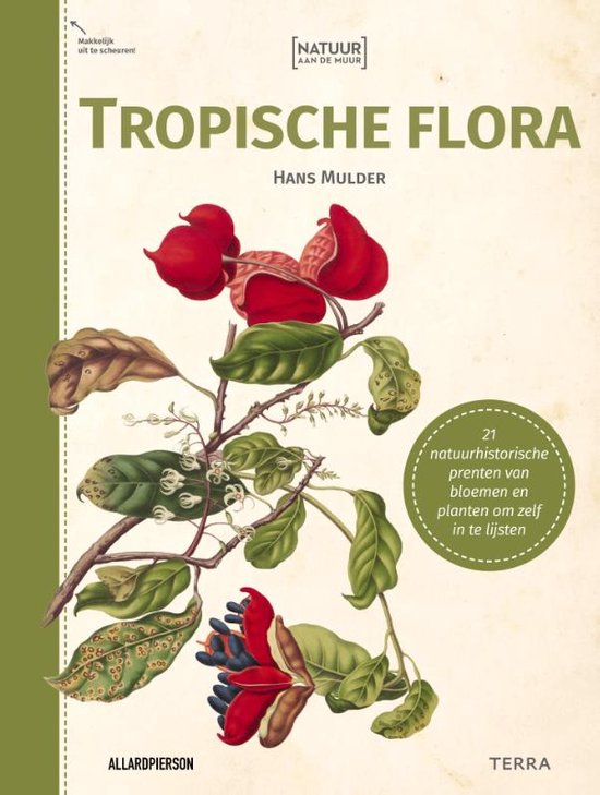 Natuur aan de muur - Tropische Flora | Mulder, Hans 9789089899620 Mulder, Hans Terra Natuur aan de Muur Natuurgidsen Wereld als geheel Natuur aan de muur - Tropische Flora | Mulder, Hans 9789089899620 Mulder, Hans Terra Natuur aan de Muur Natuurgidsen Wereld als geheel