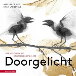Doorgelicht | Bram Langeveld 9789050118705 Bram Langeveld KNNV   Natuurgidsen Wereld als geheel