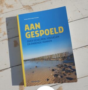 Aangespoeld | Stefaan Wera 9789464710007 Stefaan Wera Bornmeer   Natuurgidsen Europa, Zeeën en oceanen