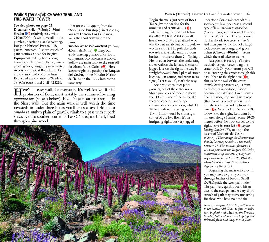 Sunflower La Gomera and Southern Tenerife | wandelgids 9781856915540 Sunflower Landscapes Wandelgidsen La Gomera, Tenerife Sunflower La Gomera and Southern Tenerife | wandelgids 9781856915540 Sunflower Landscapes Wandelgidsen La Gomera, Tenerife