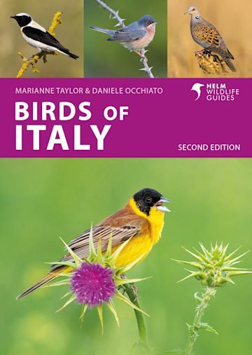 Birds of Italy | vogelgids Italië 9781399410649 Marianne Taylor, Daniele Occhiato Bloomsbury Natuurgidsen, Vogelboeken Italië Birds of Italy | vogelgids Italië 9781399410649 Marianne Taylor, Daniele Occhiato Bloomsbury Natuurgidsen, Vogelboeken Italië