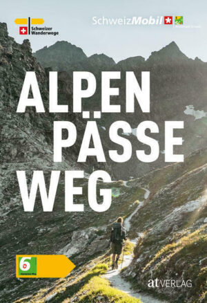Band 6: Alpenpässe-Weg | wandelgids 9783039022427 Von David Coulin, Ludwig Weh, Philipp Bachmann AT-Verlag Wanderland Schweiz  Wandelgidsen Zwitserland