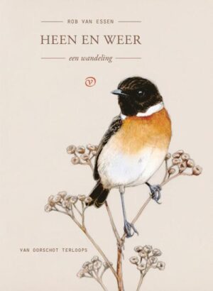 Heen en weer | Rob van Essen 9789028242715 Rob van Essen Van Oorschot Terloops  Wandelreisverhalen Noord-Holland