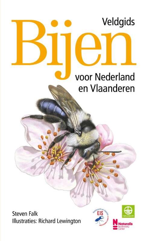 Bijen | Veldgids voor Nederland en Vlaanderen 9789043932202 Steven Falk, ill.: Richard Lewington Kosmos Natuurgidsen Benelux Bijen | Veldgids voor Nederland en Vlaanderen 9789043932202 Steven Falk, ill.: Richard Lewington Kosmos Natuurgidsen Benelux