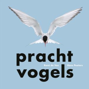 Prachtvogels | Vos, René de 9789464711752 Vos, René de / Peeters, Hans Uitgeverij Noordboek   Natuurgidsen, Vogelboeken Nederland