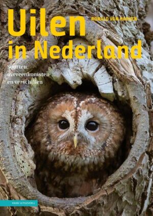 Uilen in Nederland 9789050119559 Ronald van Harxen KNNV   Natuurgidsen, Vogelboeken Nederland