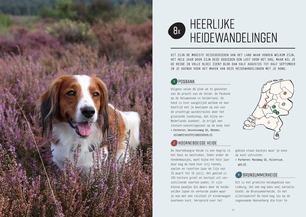 Eropuit met je hond | Marleen Brekelmans 9789043935913 Marleen Brekelmans Kosmos Hotelgidsen, Wandelgidsen Nederland Eropuit met je hond | Marleen Brekelmans 9789043935913 Marleen Brekelmans Kosmos Hotelgidsen, Wandelgidsen Nederland
