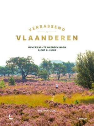Verrassend Vlaanderen | Bas van Oort 9789020925791 Bas van Oort Lannoo   Reisgidsen Vlaanderen & Brussel