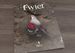 Fwiet 7, een vogelmagazine 9789464337167  Meta4Books vzw   Natuurgidsen, Vogelboeken Reisinformatie algemeen