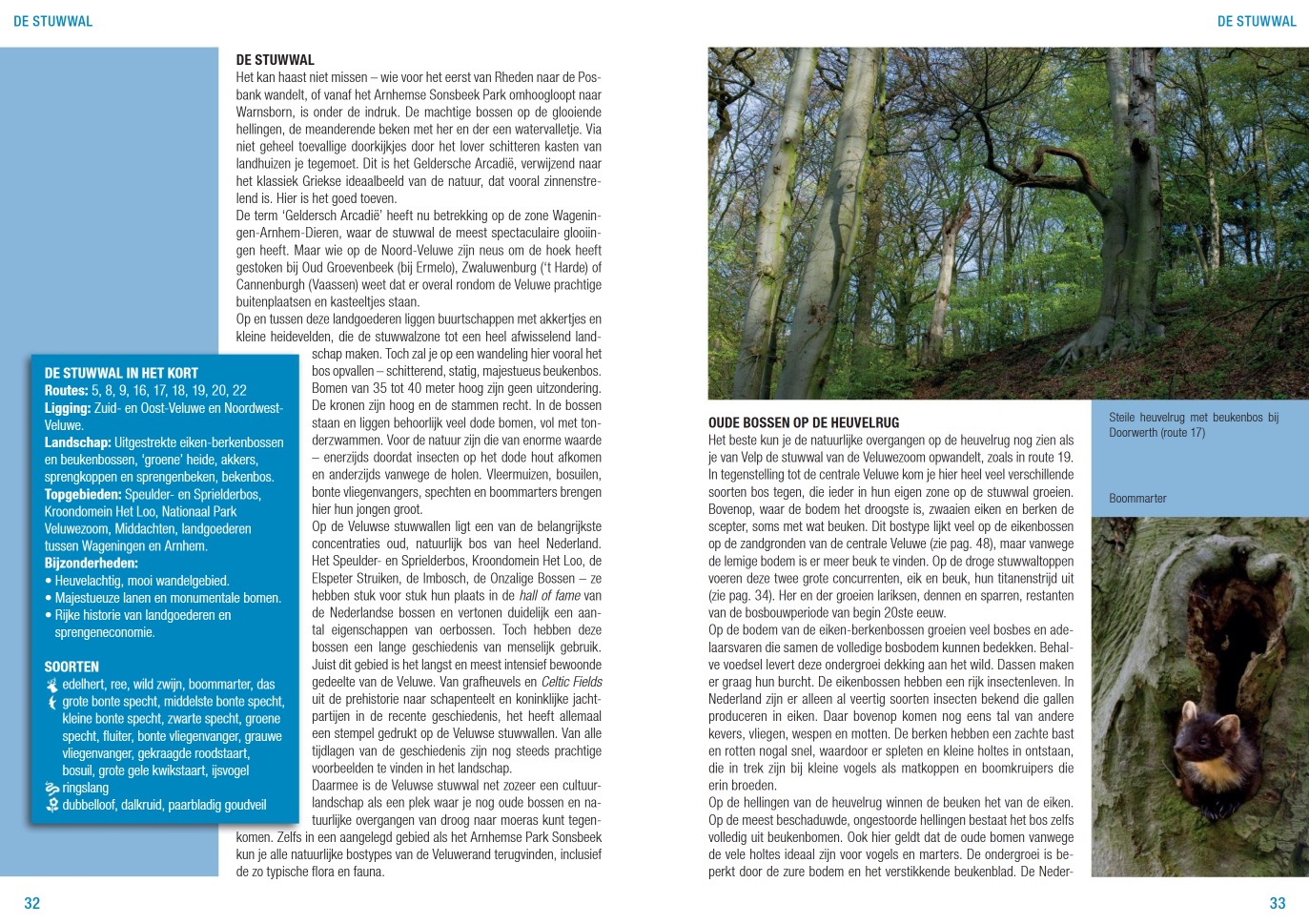 Crossbill Guide Veluwe - De Natuurgids | Dirk Hilbers 9789491648373 Dirk Hilbers Crossbill Guides Natuurgidsen, Wandelgidsen Arnhem en de Veluwe Crossbill Guide Veluwe - De Natuurgids | Dirk Hilbers 9789491648373 Dirk Hilbers Crossbill Guides Natuurgidsen, Wandelgidsen Arnhem en de Veluwe