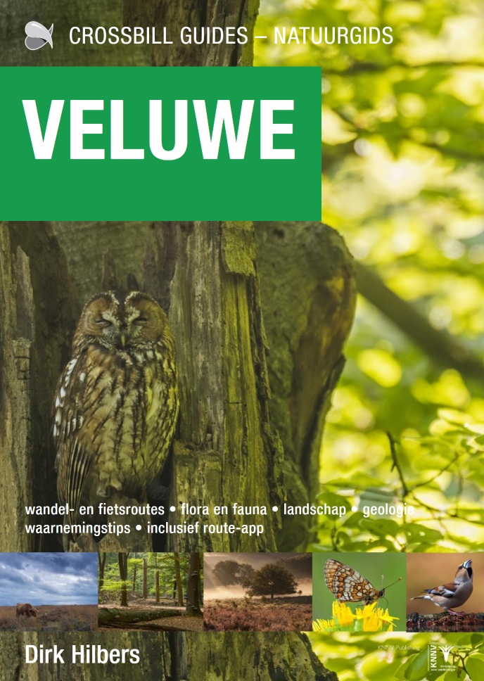 Crossbill Guide Veluwe - De Natuurgids | Dirk Hilbers 9789491648373 Dirk Hilbers Crossbill Guides Natuurgidsen, Wandelgidsen Arnhem en de Veluwe Crossbill Guide Veluwe - De Natuurgids | Dirk Hilbers 9789491648373 Dirk Hilbers Crossbill Guides Natuurgidsen, Wandelgidsen Arnhem en de Veluwe