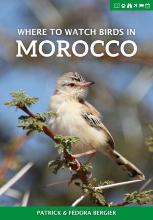 Where to Watch Birds in Morocco 9781784271442 Patrick & Fedora Bergier Pelagic Publishing   Natuurgidsen, Vogelboeken Marokko