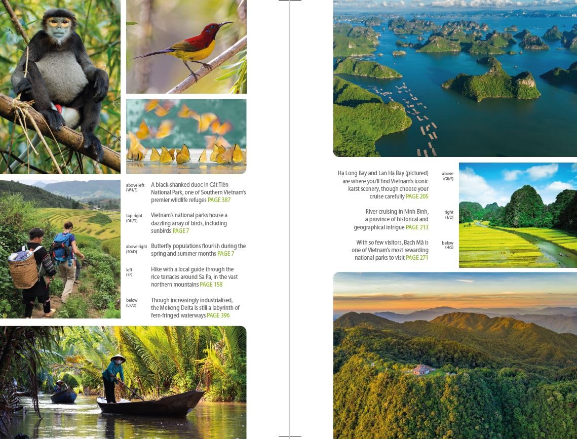 reisgids Vietnam (Bradt) 9781804692035 Joshua Zukas Bradt Reisgidsen Vietnam reisgids Vietnam (Bradt) 9781804692035 Joshua Zukas Bradt Reisgidsen Vietnam