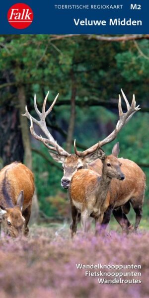 FRK-M2 Veluwe Midden | regiokaart 1:25.000 9789028705531  Falk Falk Regiokaarten  Wandelkaarten Arnhem en de Veluwe