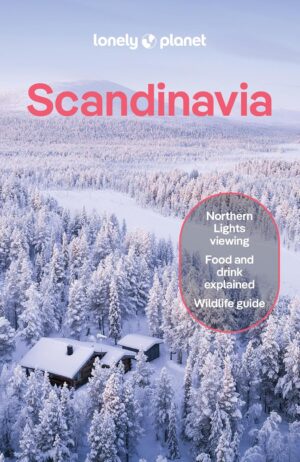 Lonely Planet Scandinavia 9781837583706  Lonely Planet Travel Guides  Reisgidsen Scandinavië (& Noordpool)