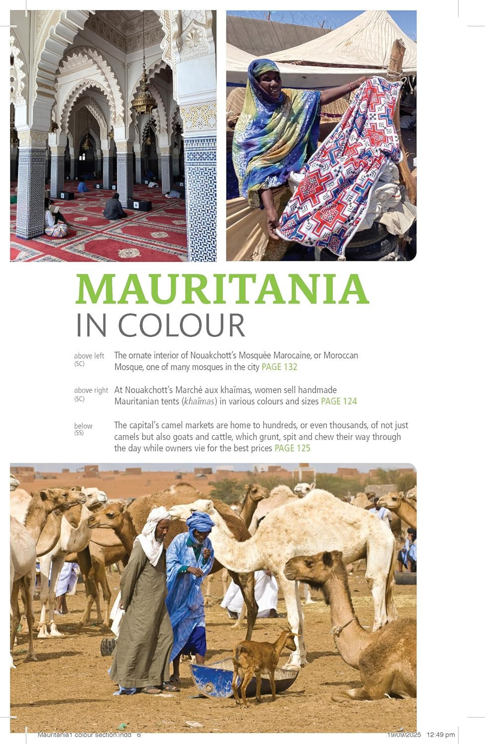 reisgids Mauritania (Bradt) 9781804691724 Sean Connolly Bradt Reisgidsen Mauritanië, Mali, Burkina Faso reisgids Mauritania (Bradt) 9781804691724 Sean Connolly Bradt Reisgidsen Mauritanië, Mali, Burkina Faso