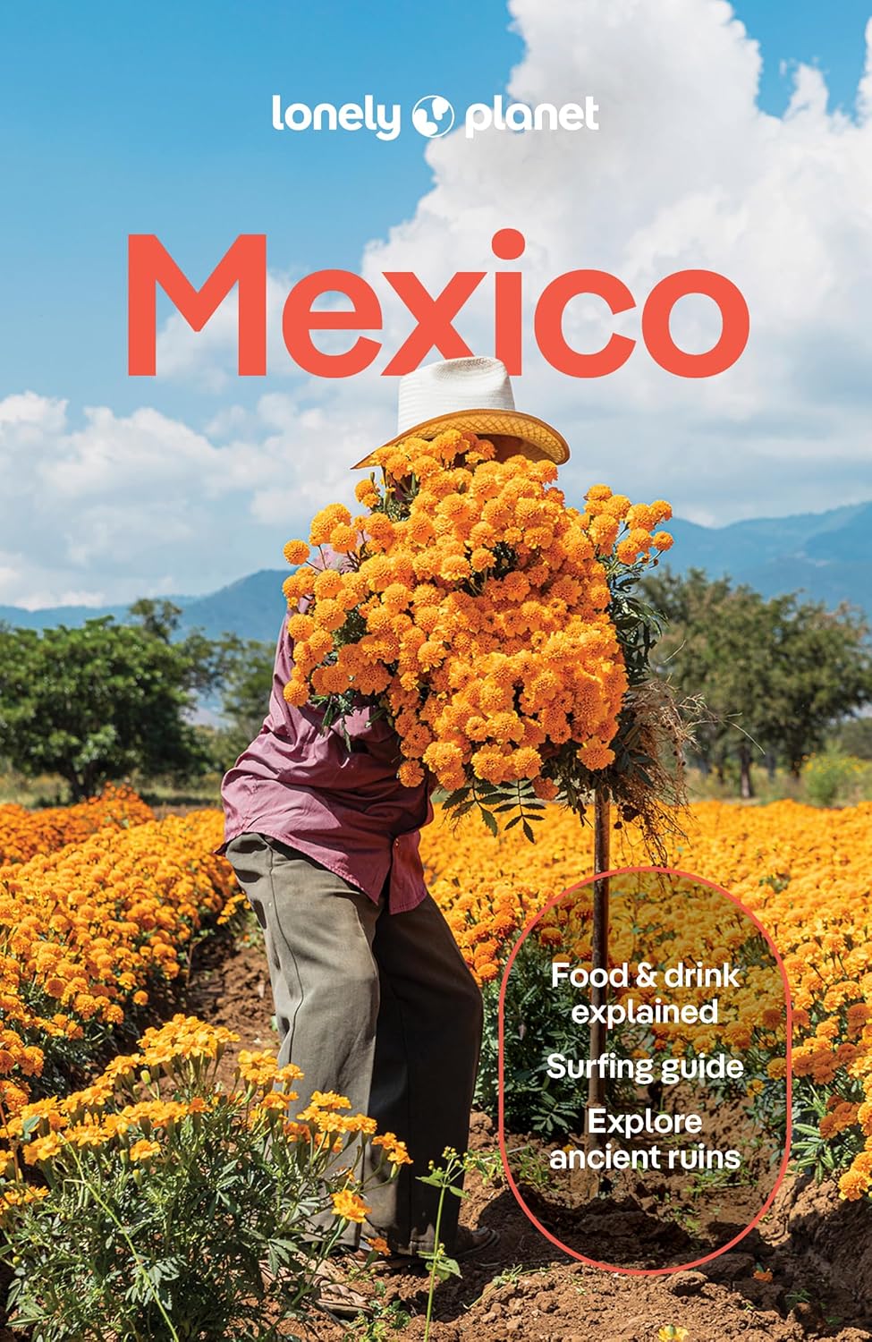 Lonely Planet Mexico 9781837583973 Lonely Planet Travel Guides Reisgidsen Mexico (en de Maya-regio) Lonely Planet Mexico 9781837583973 Lonely Planet Travel Guides Reisgidsen Mexico (en de Maya-regio)