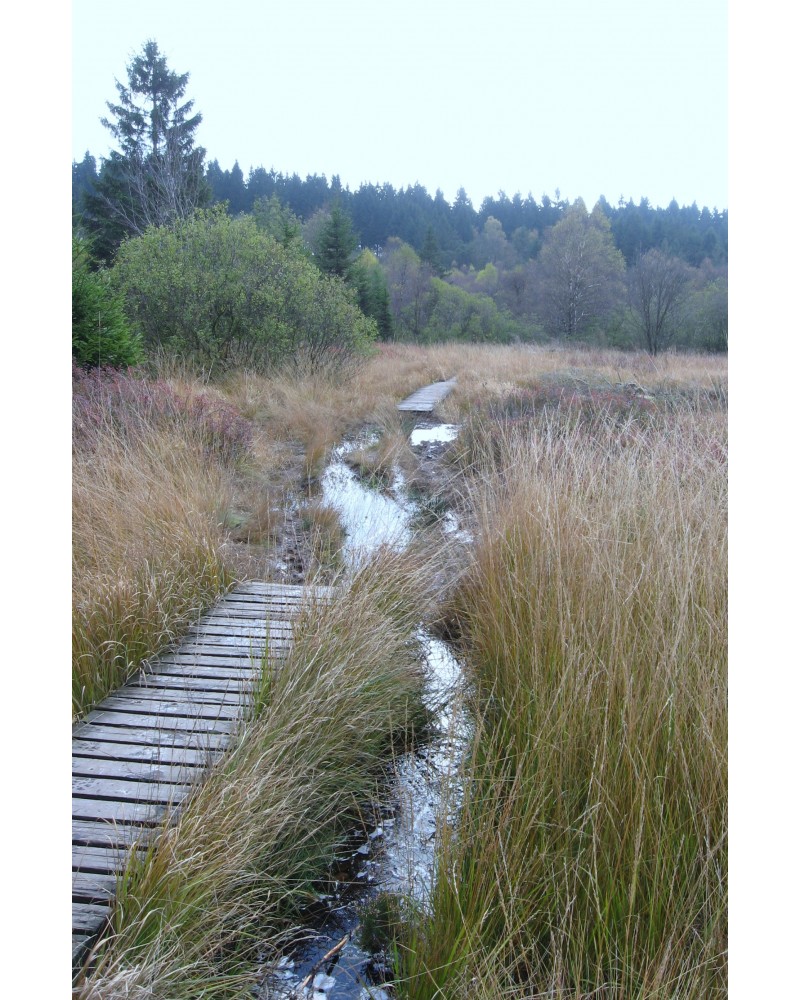 GR56 Ostbelgische Wanderwege | wandelgids 9782931078426 SGR Topoguides (B) Wandelgidsen Wallonië (Ardennen) GR56 Ostbelgische Wanderwege | wandelgids 9782931078426 SGR Topoguides (B) Wandelgidsen Wallonië (Ardennen)