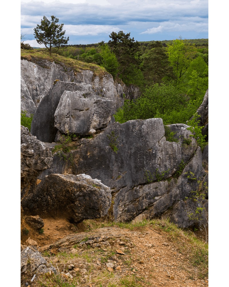 GR124 Tour du Parc national de l'Entre-Sambre-et-Meuse | wandelgids 9782931078464 SGR Topoguides (B) Wandelgidsen Wallonië (Ardennen) GR124 Tour du Parc national de l'Entre-Sambre-et-Meuse | wandelgids 9782931078464 SGR Topoguides (B) Wandelgidsen Wallonië (Ardennen)