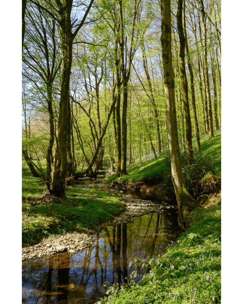 GR124 Tour du Parc national de l'Entre-Sambre-et-Meuse | wandelgids 9782931078464 SGR Topoguides (B) Wandelgidsen Wallonië (Ardennen) GR124 Tour du Parc national de l'Entre-Sambre-et-Meuse | wandelgids 9782931078464 SGR Topoguides (B) Wandelgidsen Wallonië (Ardennen)