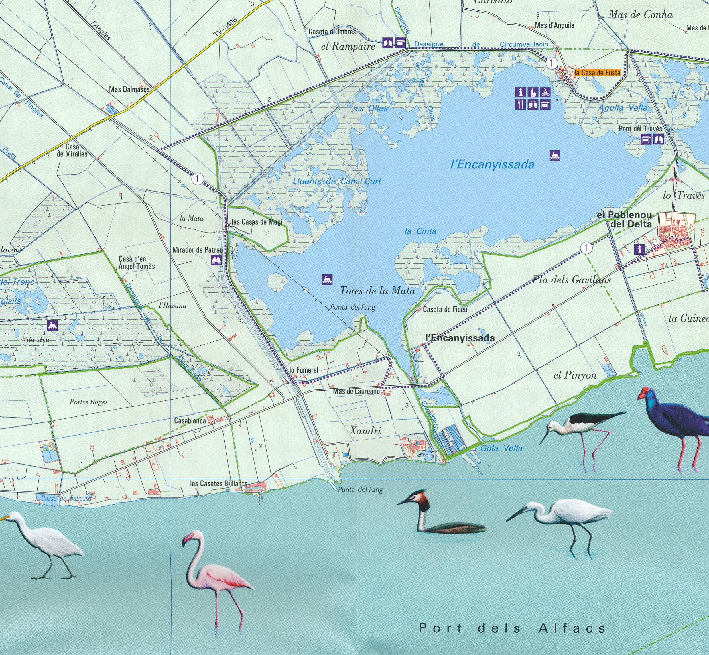 P.N. del Delta de l'Ebre 1:30.000 9788495945600 Editorial Piolet Wandelkaarten Spanje Wandelkaarten Catalonië P.N. del Delta de l'Ebre 1:30.000 9788495945600 Editorial Piolet Wandelkaarten Spanje Wandelkaarten Catalonië