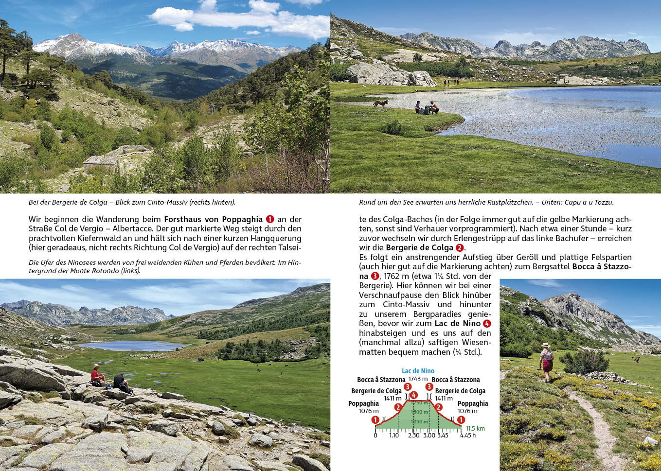wandelgids Corsica Rother Wanderführer Korsika 9783763314133 Bergverlag Rother RWG Wandelgidsen Corsica wandelgids Corsica Rother Wanderführer Korsika 9783763314133 Bergverlag Rother RWG Wandelgidsen Corsica