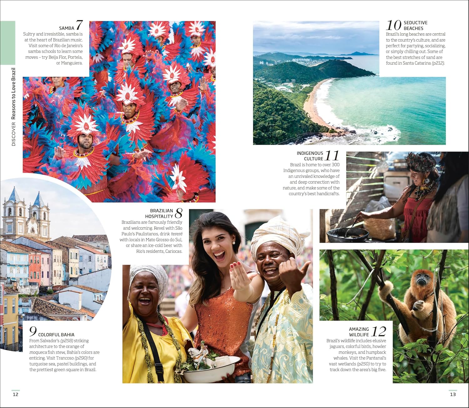 Brazil Eyewitness Guide 9780241757567 Dorling Kindersley Eyewitness Guides Reisgidsen Brazilië Brazil Eyewitness Guide 9780241757567 Dorling Kindersley Eyewitness Guides Reisgidsen Brazilië