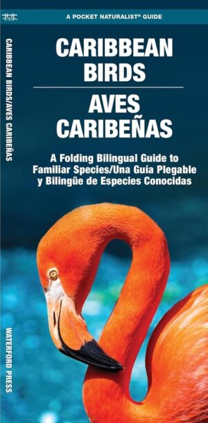 Caribbean Birds 9781620055502  Waterford Press   Natuurgidsen, Vogelboeken Caribisch Gebied