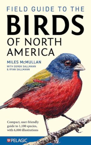 Field Guide to the Birds of North America 9781784275426  National Geographic   Natuurgidsen, Vogelboeken Verenigde Staten