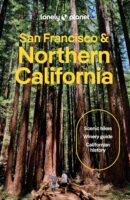 Lonely Planet Northern California 9781787016071  Lonely Planet Travel Guides  Reisgidsen California, Nevada