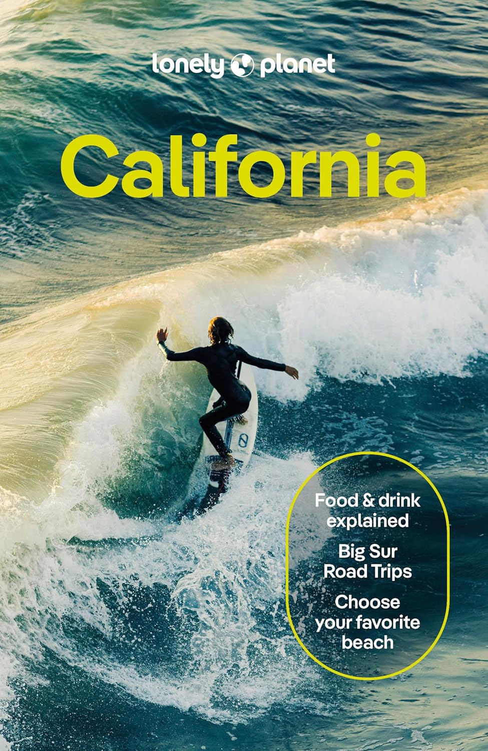 Lonely Planet California 9781838697044 Lonely Planet Travel Guides Reisgidsen California, Nevada Lonely Planet California 9781838697044 Lonely Planet Travel Guides Reisgidsen California, Nevada