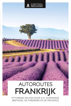 Capitool Autoroutes Frankrijk 9789000403622  Capitool Reisgidsen   Reisgidsen Frankrijk
