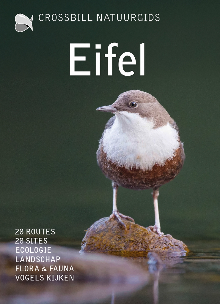 Crossbill Guide Eifel | Olaf op den Kamp 9789491648434 Olaf op den Kamp Crossbill Guides Nature Guides Natuurgidsen Eifel Crossbill Guide Eifel | Olaf op den Kamp 9789491648434 Olaf op den Kamp Crossbill Guides Nature Guides Natuurgidsen Eifel