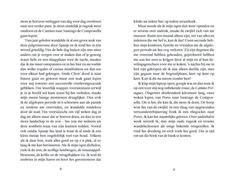 Mijn herberg aan de Camino | Anna Visser 9789493319400 Anna Visser Brandt Reisverhalen & literatuur, Santiago de Compostela Santiago de Compostela, de Spaanse routes Mijn herberg aan de Camino | Anna Visser 9789493319400 Anna Visser Brandt Reisverhalen & literatuur, Santiago de Compostela Santiago de Compostela, de Spaanse routes